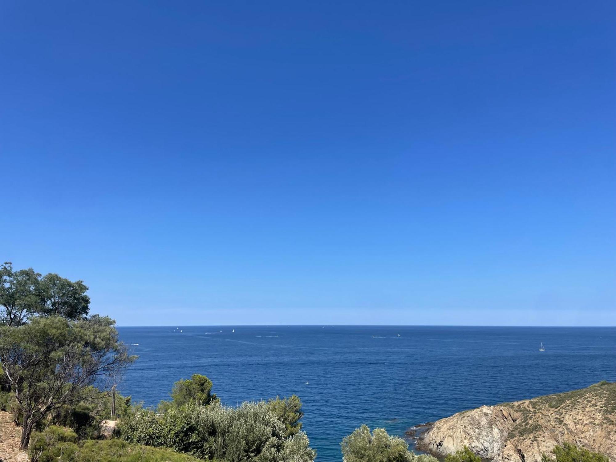 Studio Banyuls-sur-Mer, 1 pièce, 4 personnes - FR-1-309-210 Extérieur photo